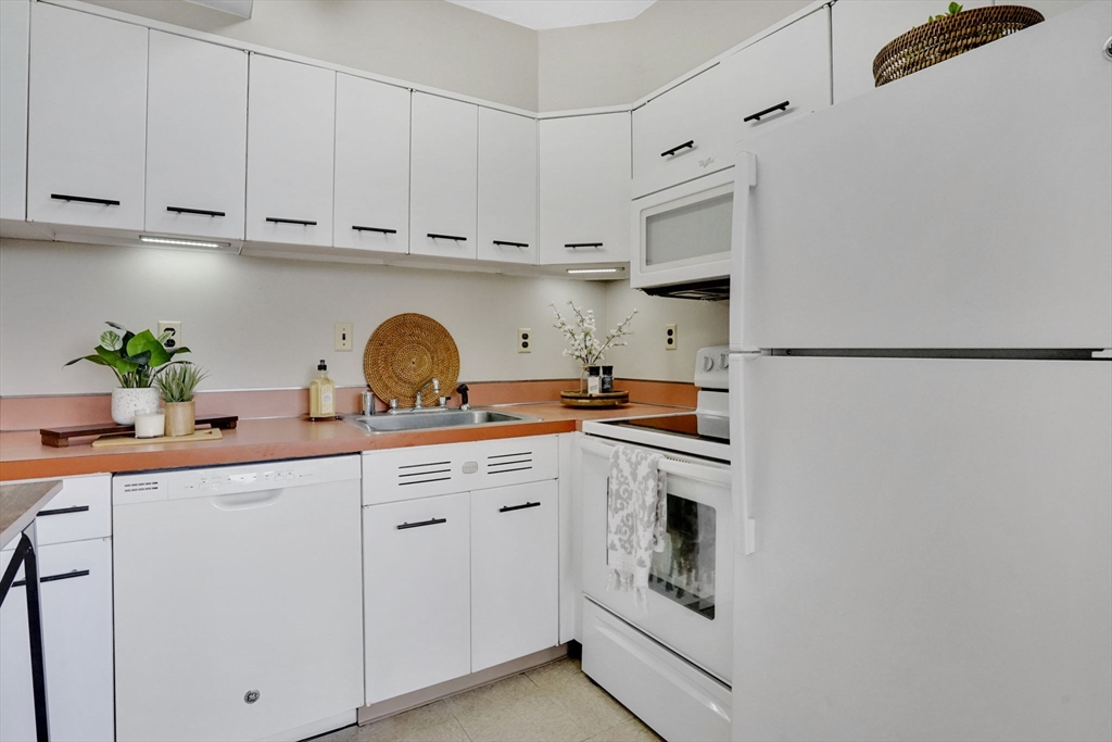 101 Mulberry Street, Unit 519 Springfield, MA 01105 - Photo 7 of 31