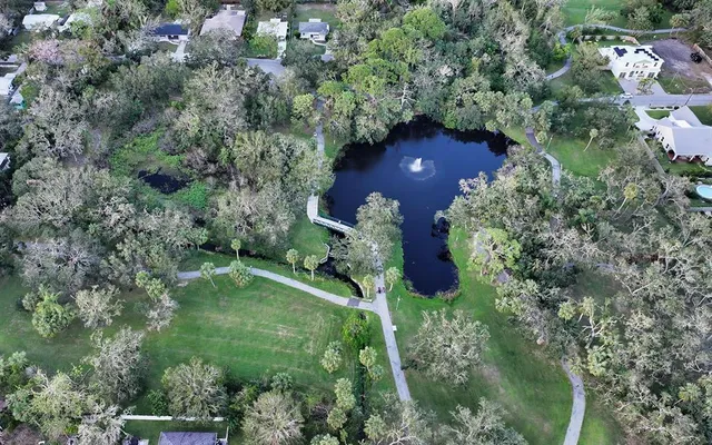a view of a backyard with plants and a lake view