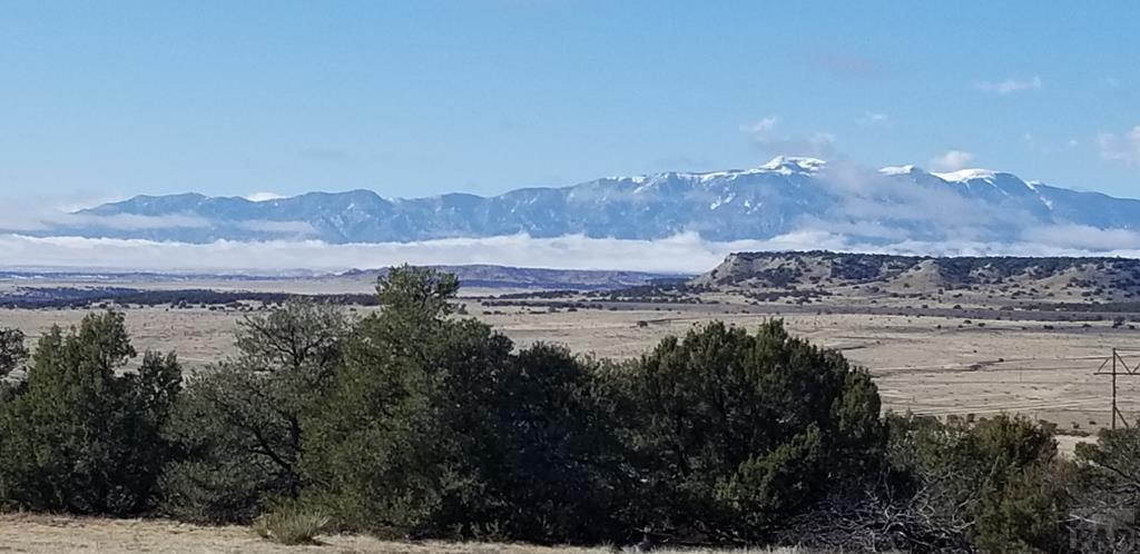 T B D T B D Freight Train Way Rye, CO 81069 - Photo 1 of 1