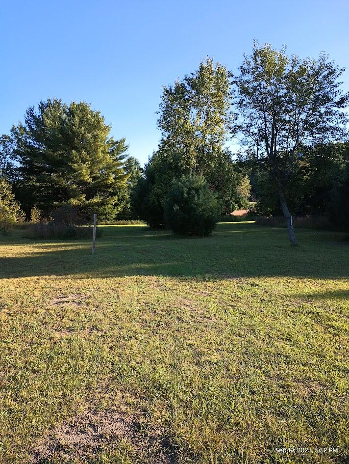 11630 Hall Road Atlanta, MI 49709 - Photo 33 of 46 IMG_20230919_175254334