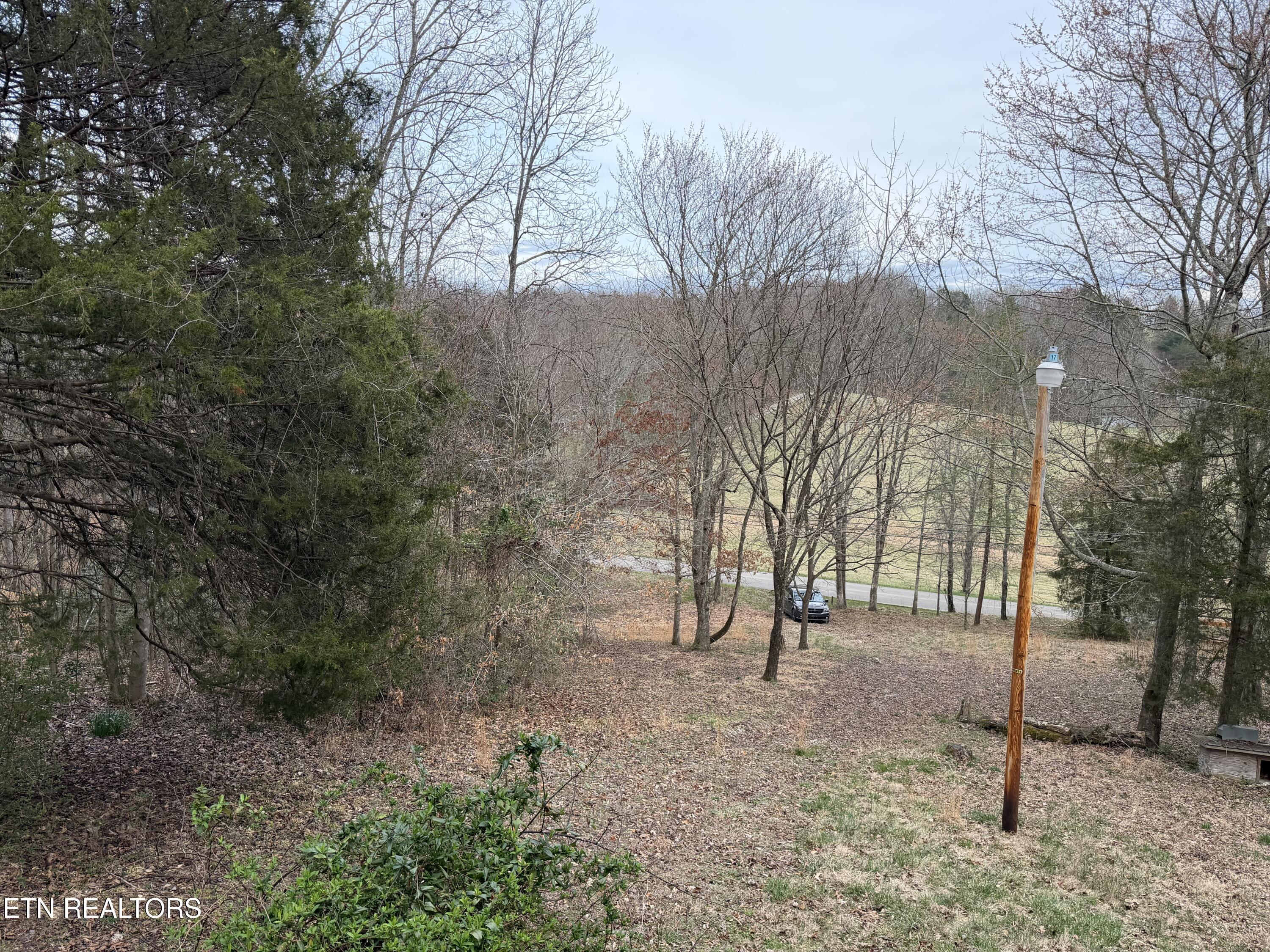 364 Shady Grove Road Lancing, TN 37770 - Photo 25 of 31 IMG_2823