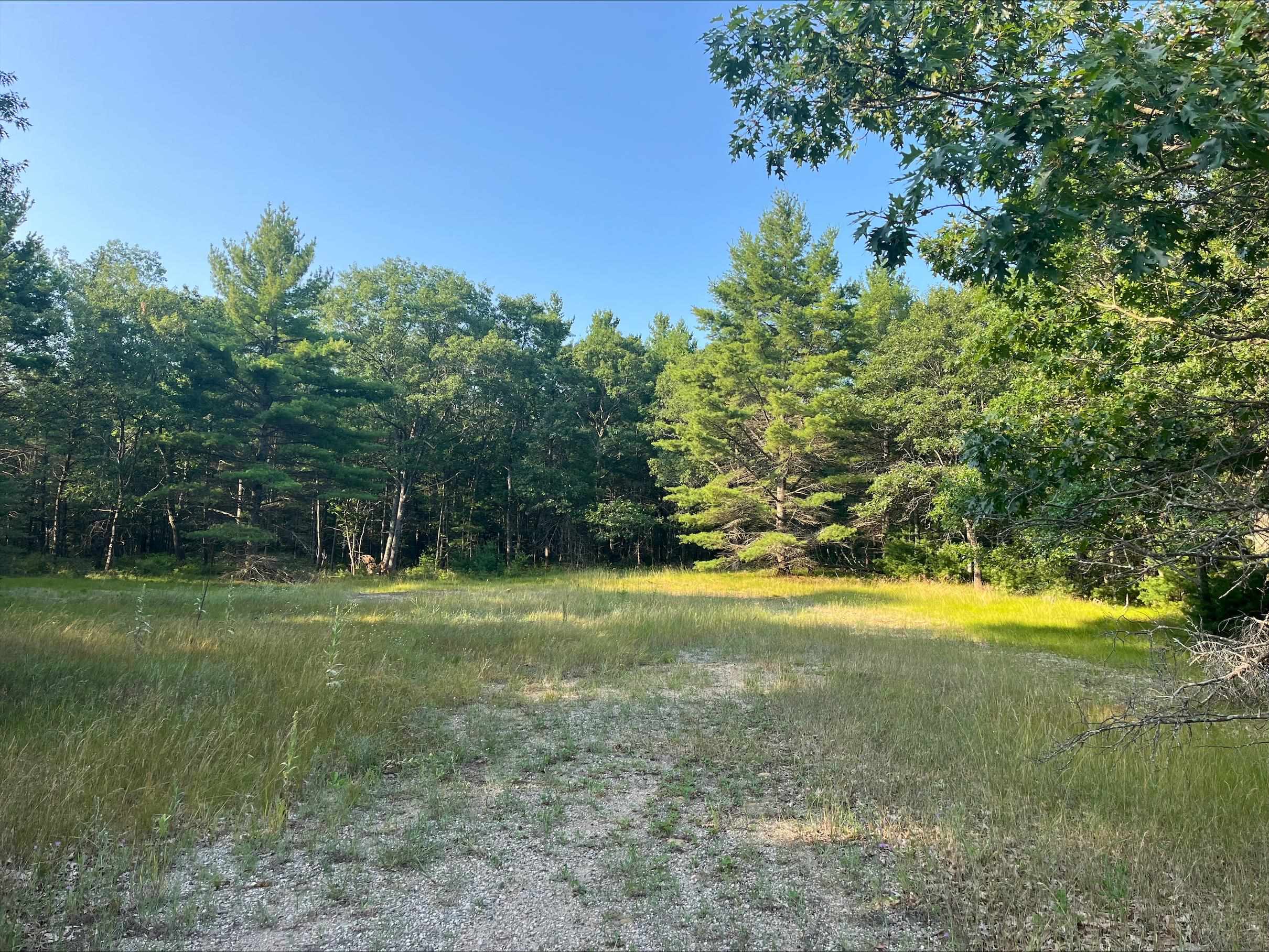 0 MacKenzie Road Oscoda, MI 48750 - Photo 2 of 8 1948461-ac52a748-3316-4fa7-a717-e08fdbe48e1a.JPG