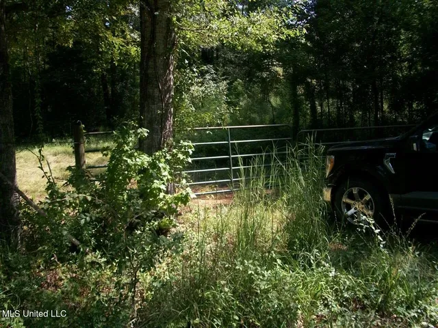 $1,068,375 | Tbd Oldenburg Road, Meadville, MS 39653