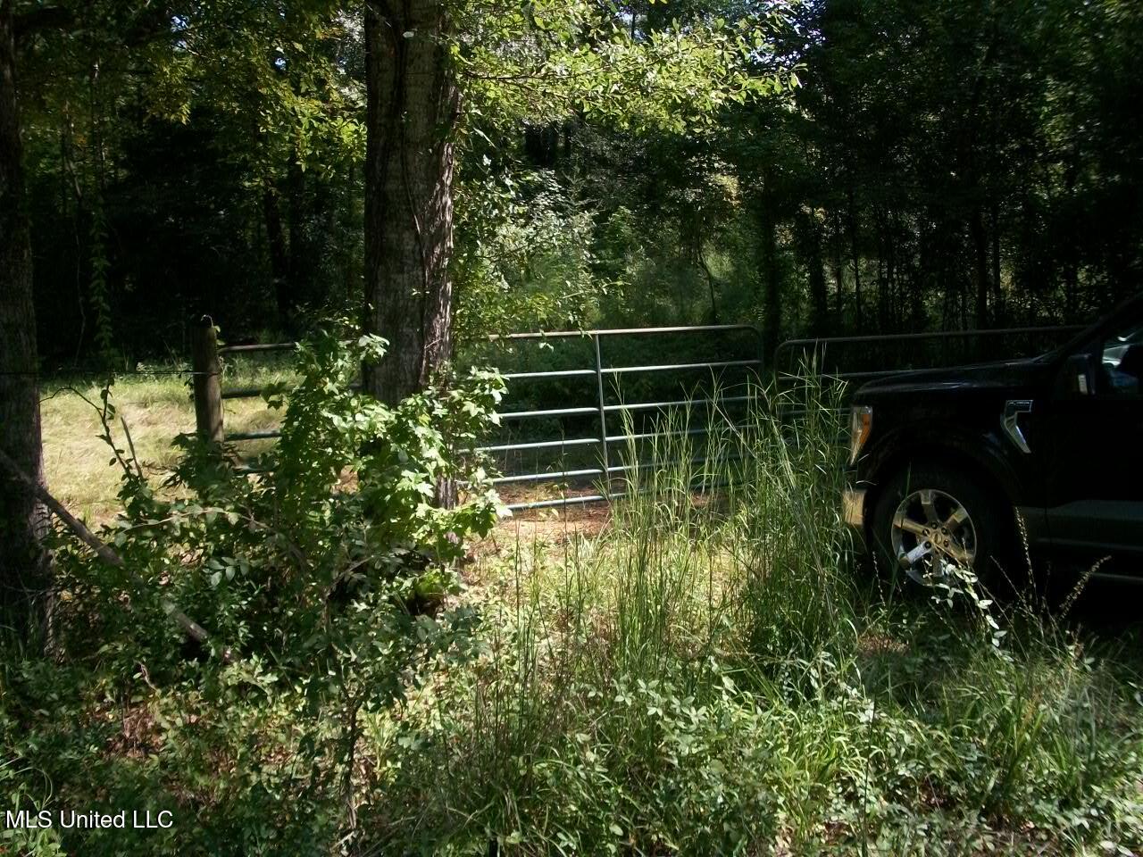 Tbd Oldenburg Road Meadville, MS 39653 - Photo 11 of 44 283 ac Oldenburg Rd (10)