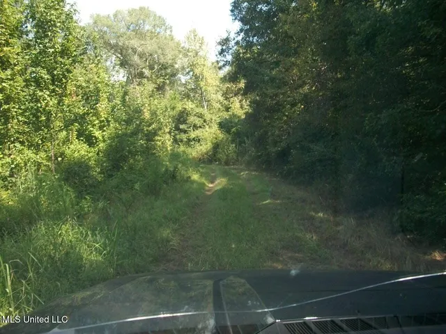 $1,068,375 | Tbd Oldenburg Road, Meadville, MS 39653