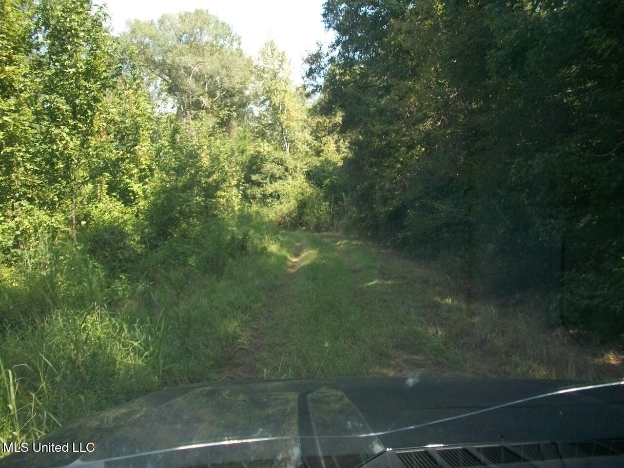 Tbd Oldenburg Road Meadville, MS 39653 - Photo 12 of 44 283 ac Oldenburg Rd (11)