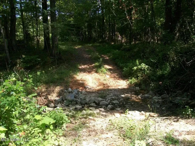 $1,068,375 | Tbd Oldenburg Road, Meadville, MS 39653