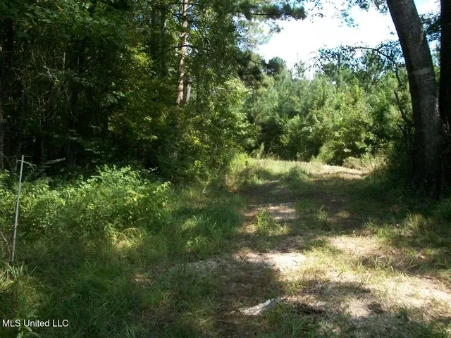 $1,068,375 | Tbd Oldenburg Road, Meadville, MS 39653