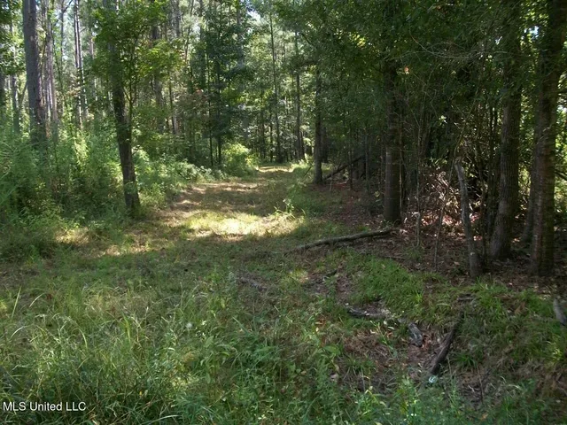 $1,068,375 | Tbd Oldenburg Road, Meadville, MS 39653