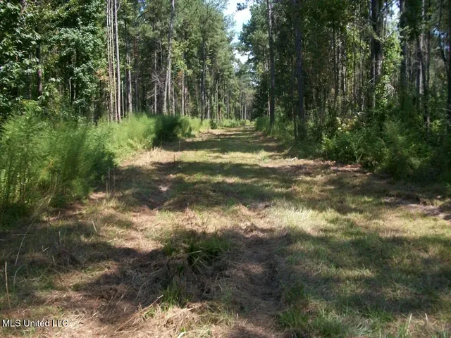 $1,068,375 | Tbd Oldenburg Road, Meadville, MS 39653