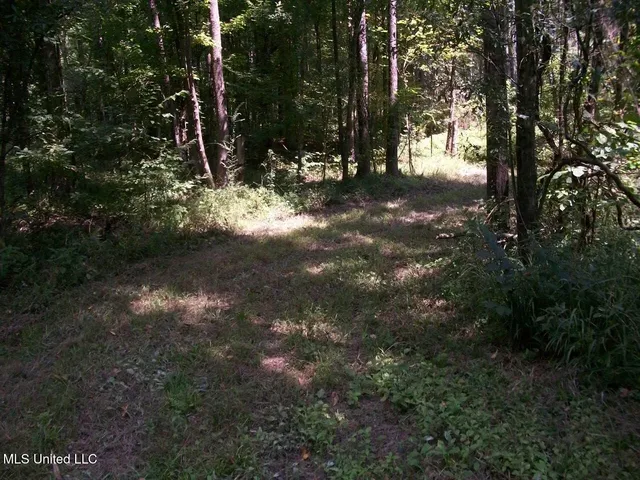 $1,068,375 | Tbd Oldenburg Road, Meadville, MS 39653