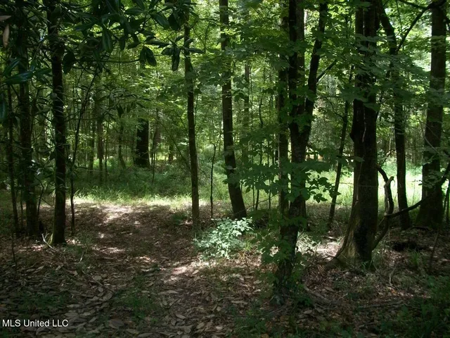 $1,068,375 | Tbd Oldenburg Road, Meadville, MS 39653