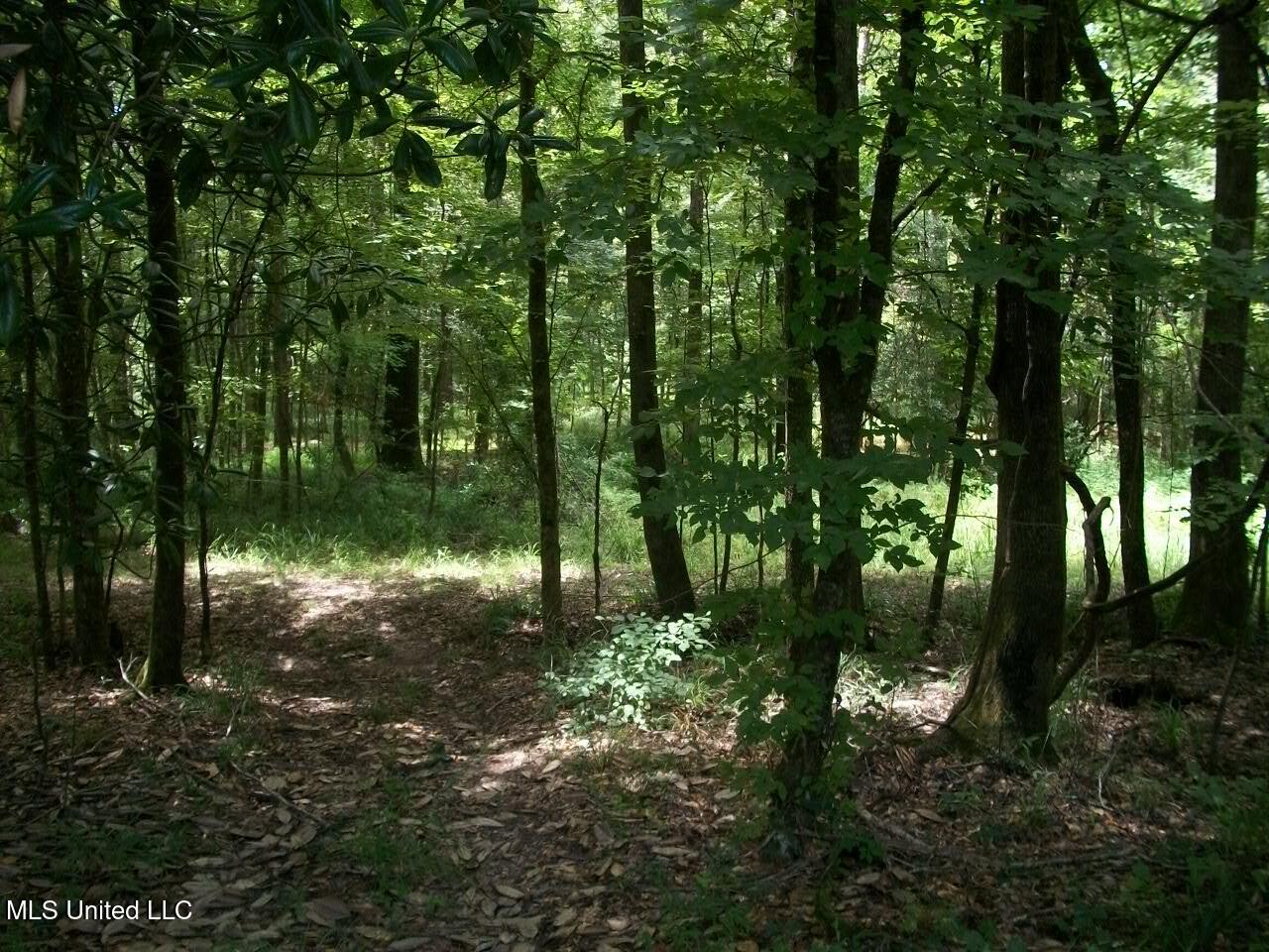 Tbd Oldenburg Road Meadville, MS 39653 - Photo 2 of 44 283 ac Oldenburg Rd (2)