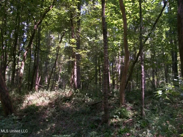 $1,068,375 | Tbd Oldenburg Road, Meadville, MS 39653