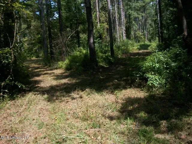 $1,068,375 | Tbd Oldenburg Road, Meadville, MS 39653