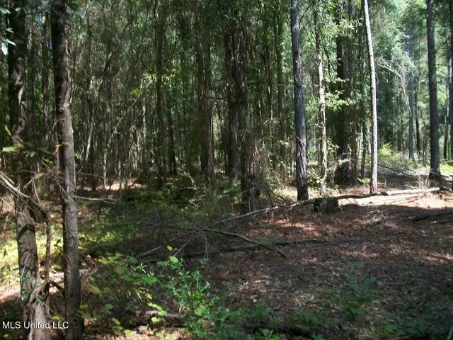 $1,068,375 | Tbd Oldenburg Road, Meadville, MS 39653