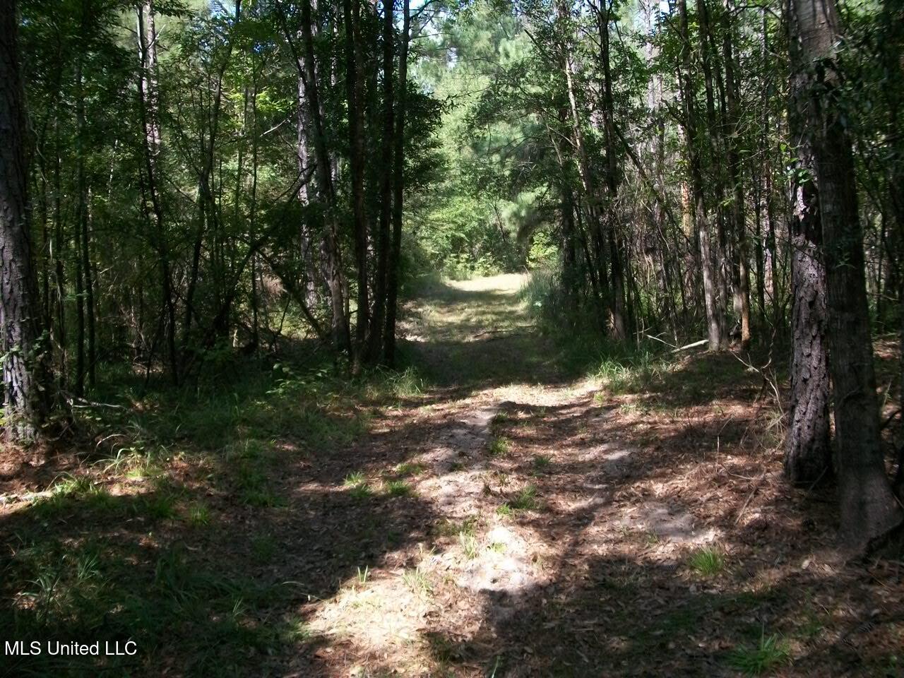 Tbd Oldenburg Road Meadville, MS 39653 - Photo 26 of 44 283 ac Oldenburg Rd (25)