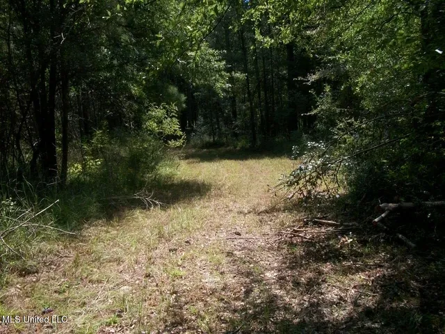 $1,068,375 | Tbd Oldenburg Road, Meadville, MS 39653