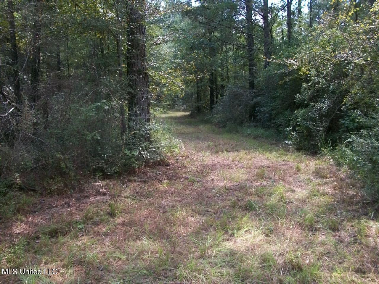 Tbd Oldenburg Road Meadville, MS 39653 - Photo 28 of 44 283 ac Oldenburg Rd (27)