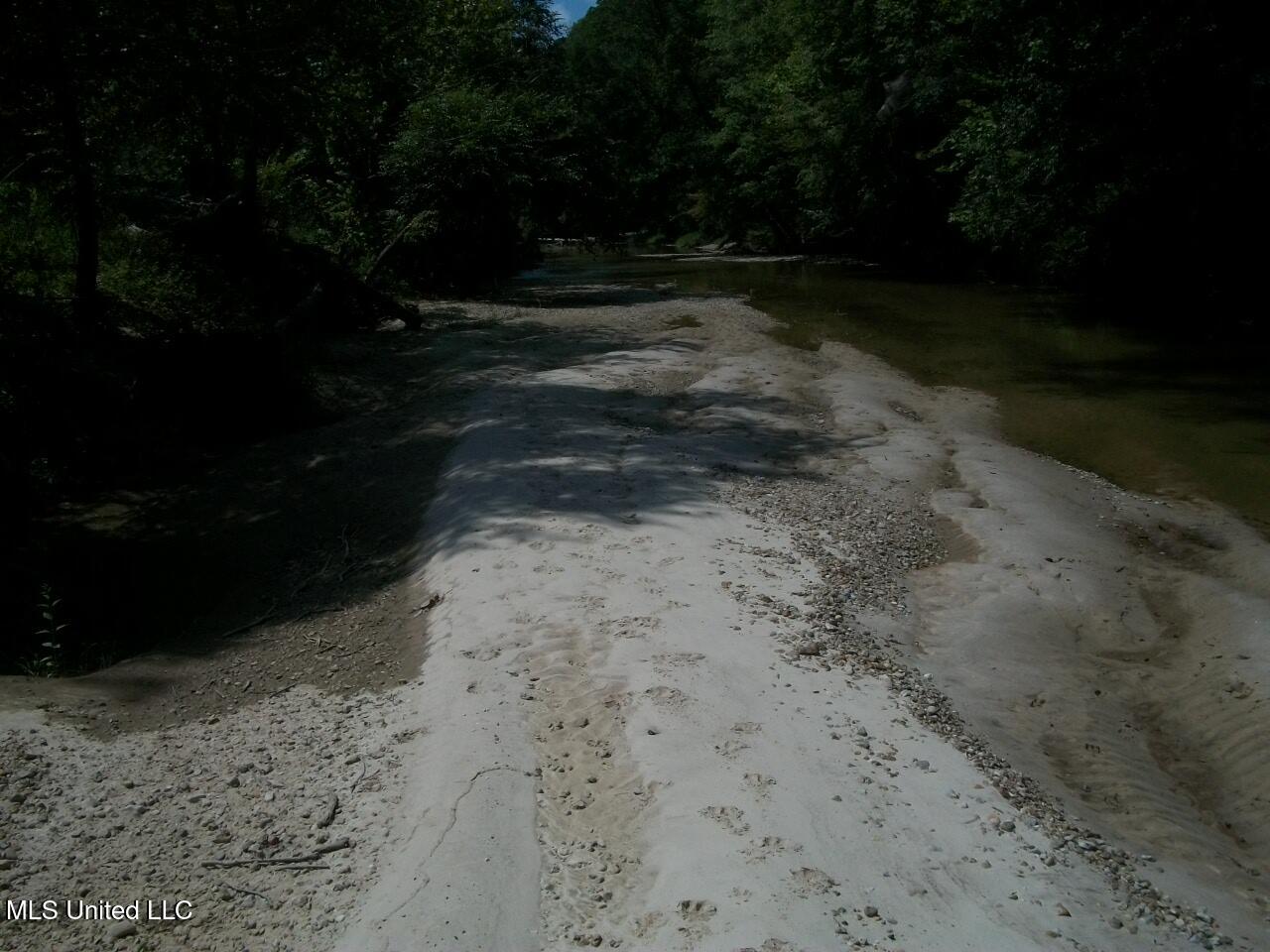Tbd Oldenburg Road Meadville, MS 39653 - Photo 30 of 44 283 ac Oldenburg Rd (29)