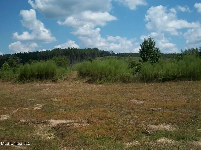 $1,068,375 | Tbd Oldenburg Road, Meadville, MS 39653