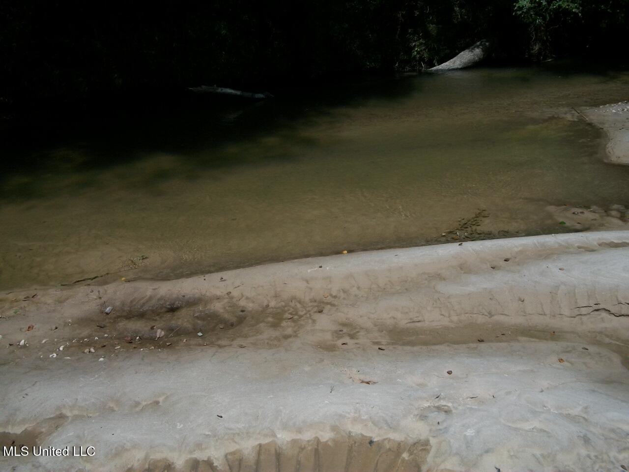 Tbd Oldenburg Road Meadville, MS 39653 - Photo 31 of 44 283 ac Oldenburg Rd (30)