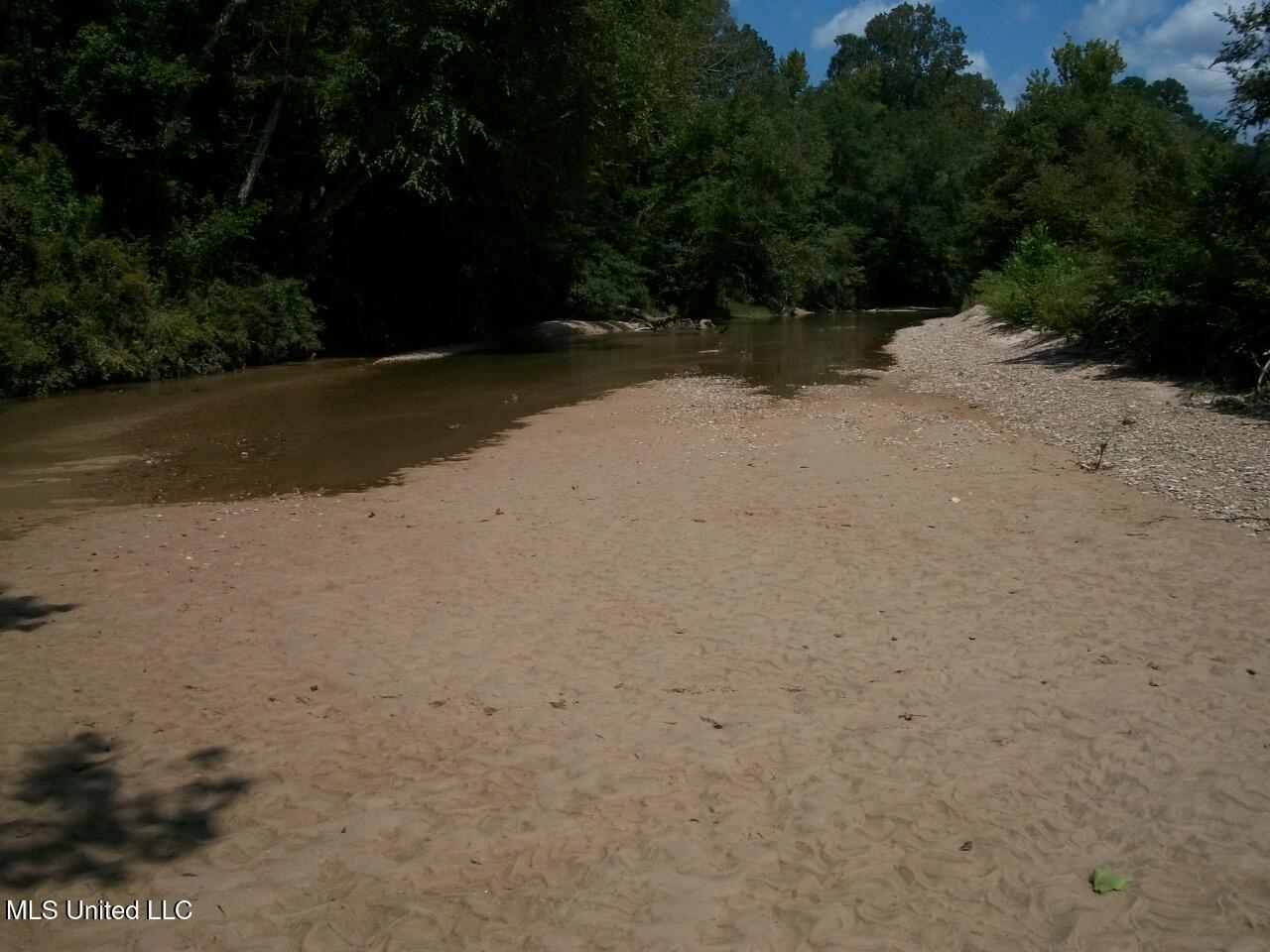 Tbd Oldenburg Road Meadville, MS 39653 - Photo 33 of 44 283 ac Oldenburg Rd (33)