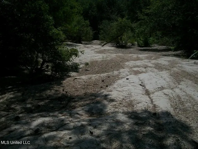 $1,068,375 | Tbd Oldenburg Road, Meadville, MS 39653