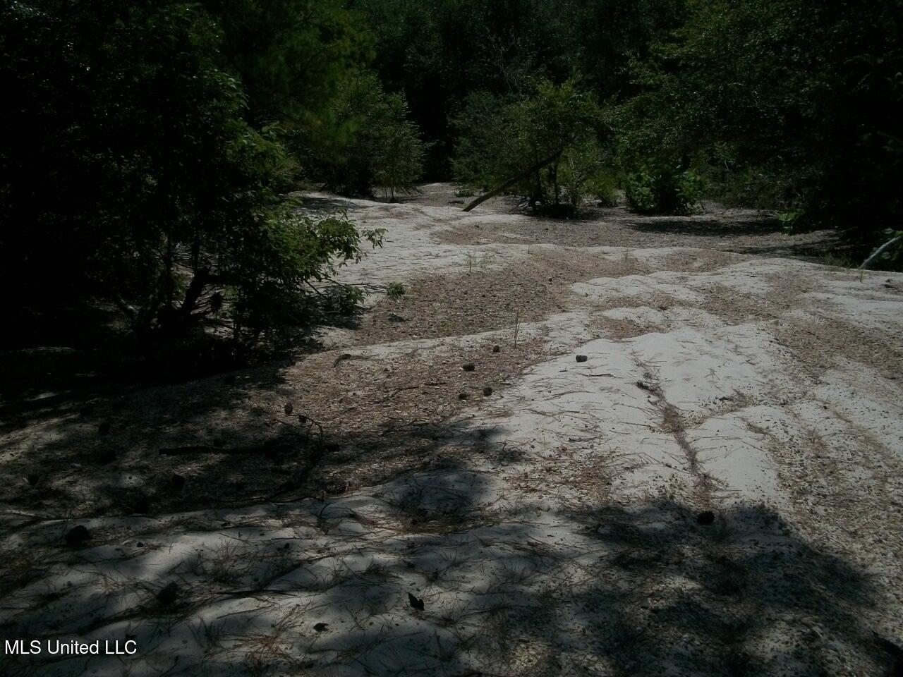 Tbd Oldenburg Road Meadville, MS 39653 - Photo 35 of 44 283 ac Oldenburg Rd (35)