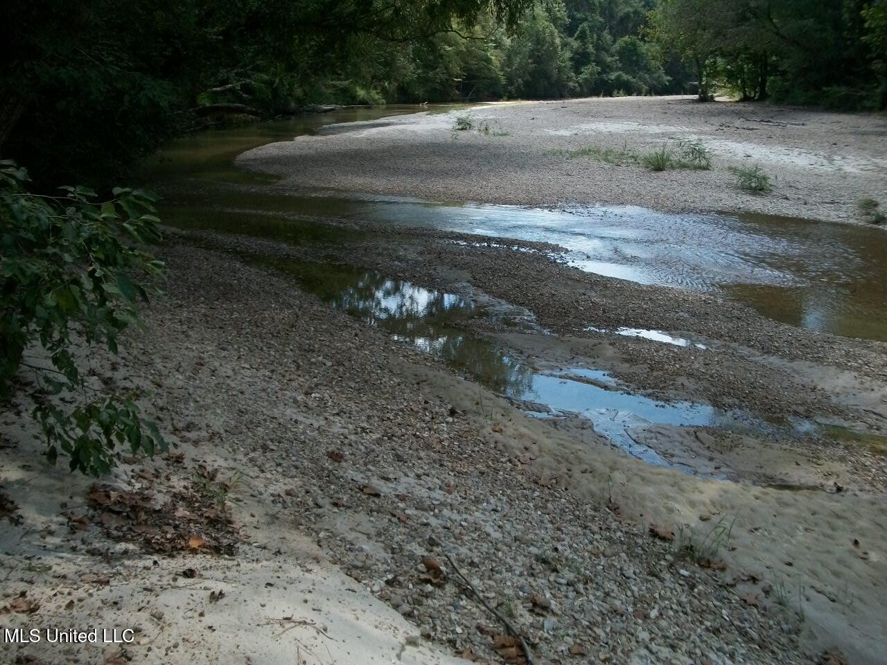 Tbd Oldenburg Road Meadville, MS 39653 - Photo 39 of 44 283 ac Oldenburg Rd (39)