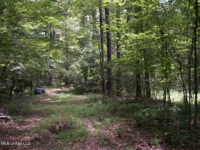 $1,068,375 | Tbd Oldenburg Road, Meadville, MS 39653