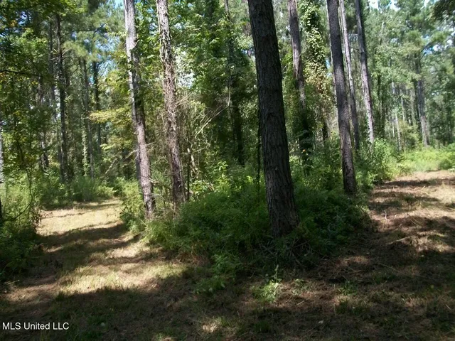 $1,068,375 | Tbd Oldenburg Road, Meadville, MS 39653