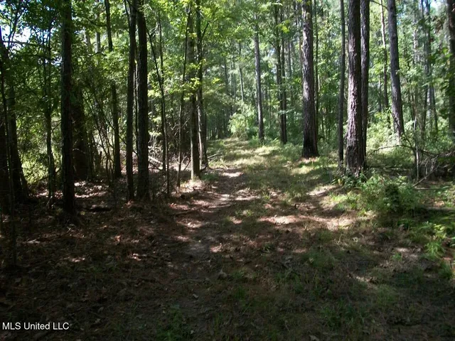 $1,068,375 | Tbd Oldenburg Road, Meadville, MS 39653