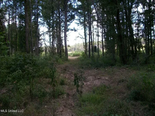 $1,068,375 | Tbd Oldenburg Road, Meadville, MS 39653