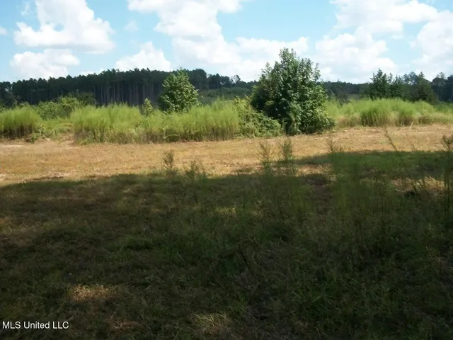 $1,068,375 | Tbd Oldenburg Road, Meadville, MS 39653