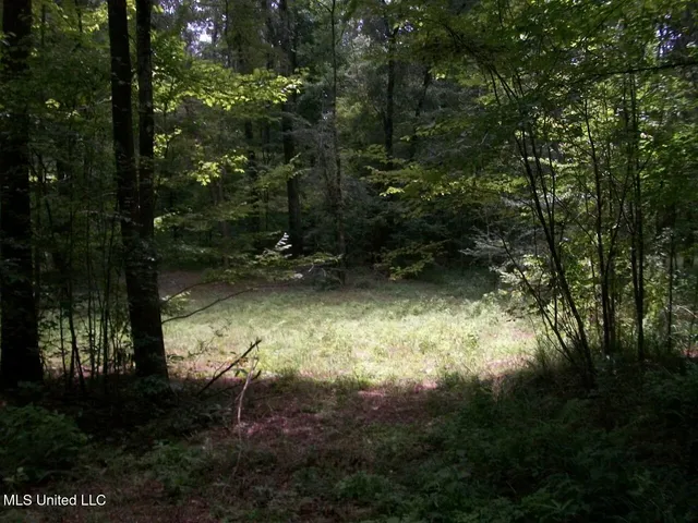 $1,068,375 | Tbd Oldenburg Road, Meadville, MS 39653