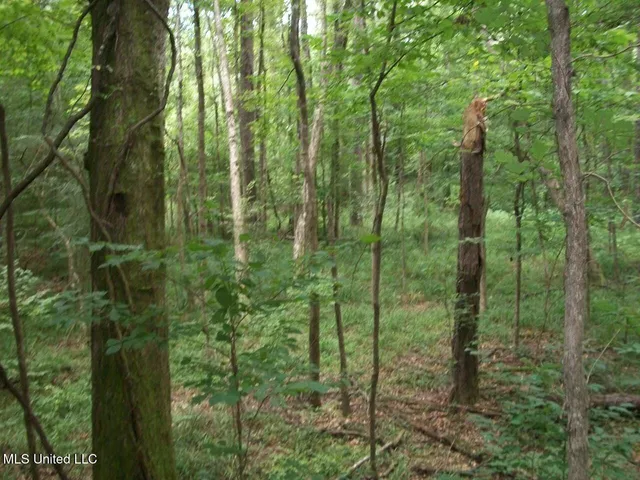 $1,068,375 | Tbd Oldenburg Road, Meadville, MS 39653