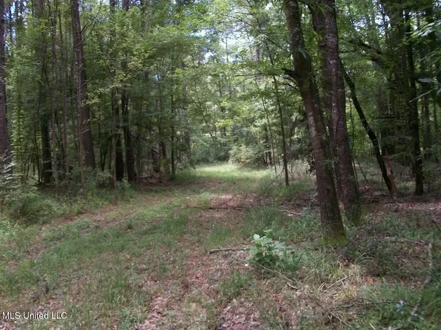 $1,068,375 | Tbd Oldenburg Road, Meadville, MS 39653