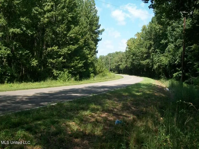 $1,068,375 | Tbd Oldenburg Road, Meadville, MS 39653