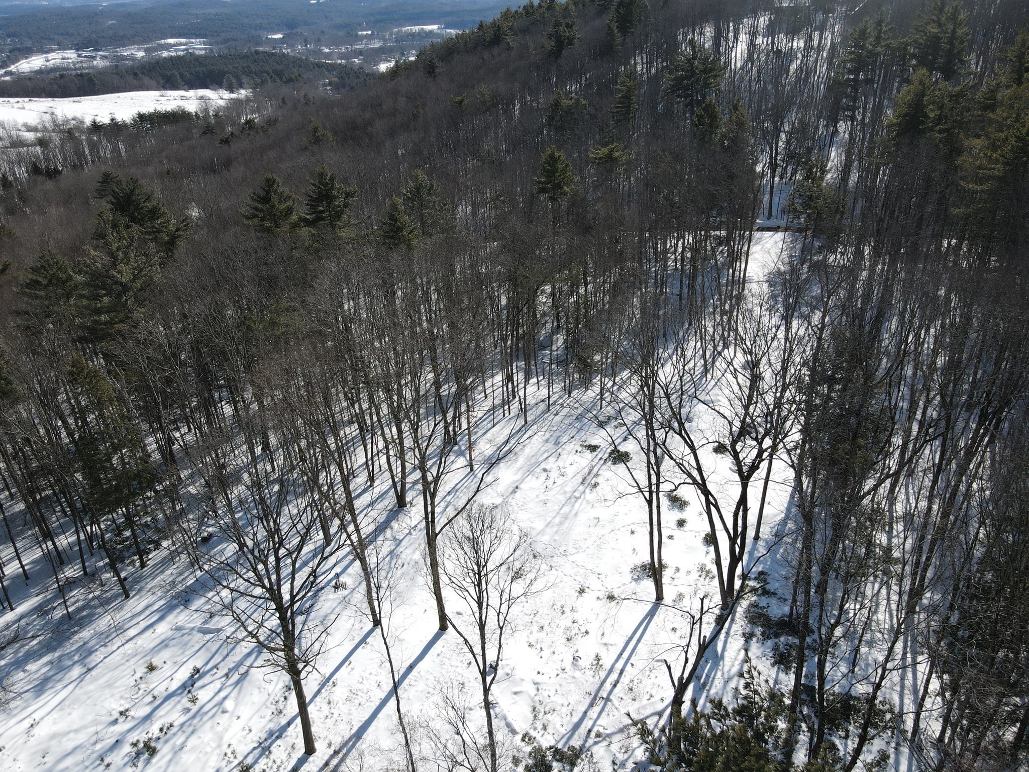 0 Fox Hill Road Bernardston, MA 01337 - Photo 7 of 18 Gallery Image 7