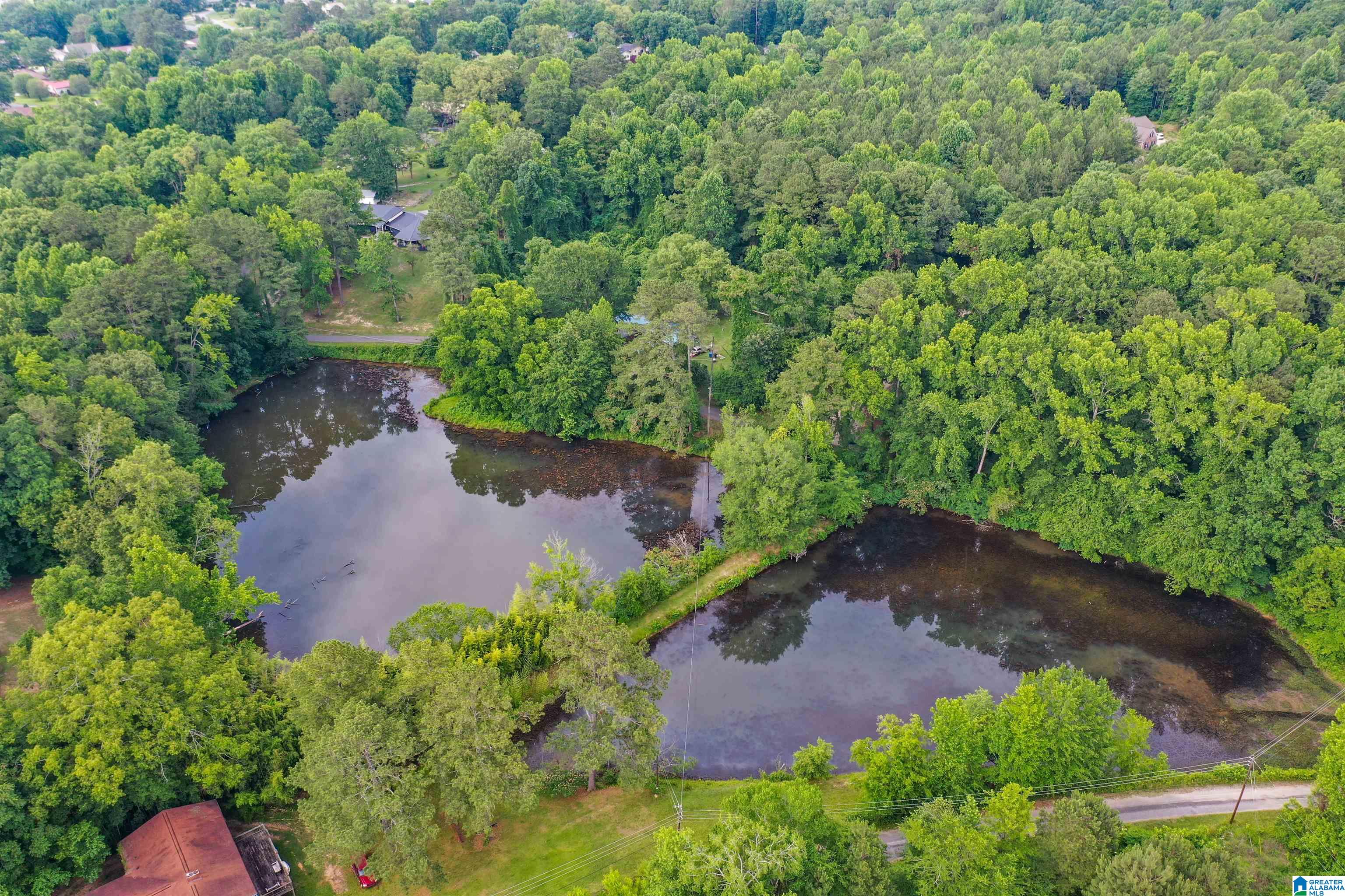 465 Lakewood Road Rainbow City, AL 35906 - Photo 38 of 43