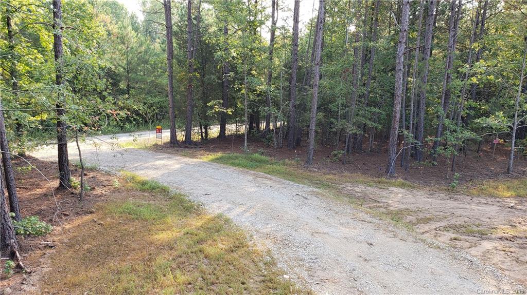 0 Ginn Road, Unit 3 McConnells, SC 29726 - Photo 2 of 5