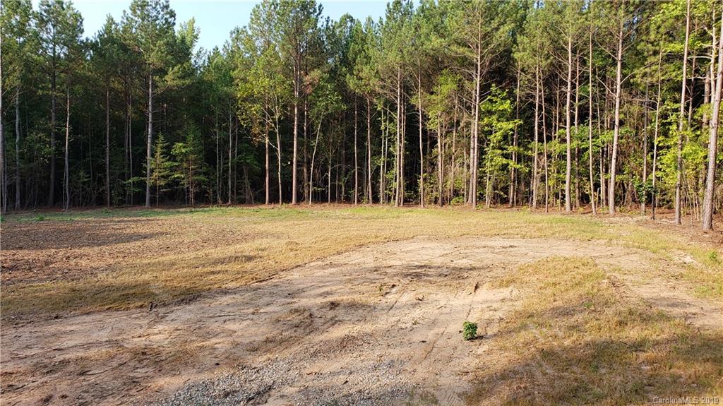 0 Ginn Road, Unit 3 McConnells, SC 29726 - Photo 3 of 5
