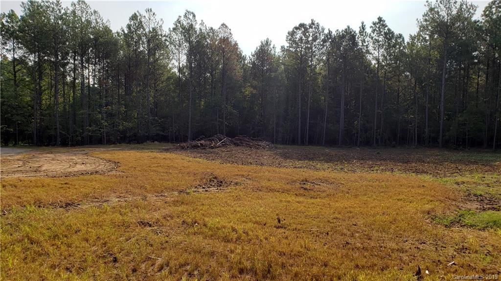 0 Ginn Road, Unit 3 McConnells, SC 29726 - Photo 4 of 5