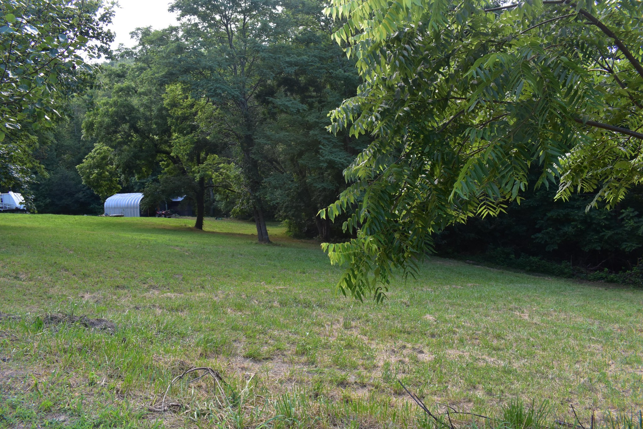 953 Goose Creek Road Seymour, TN 37865 - Photo 21 of 22 Gallery Image 21