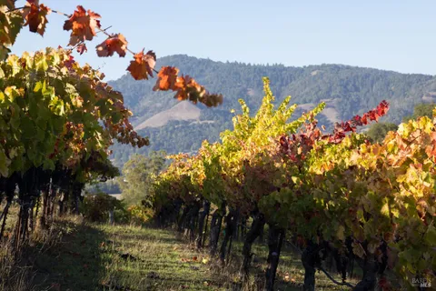 $5,495,000 | 295 Sonoma Ridge Road, Santa Rosa, CA 95404