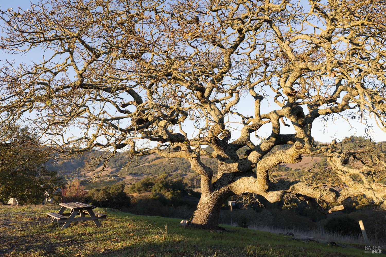 295 Sonoma Ridge Road Santa Rosa, CA 95404 - Photo 30 of 33