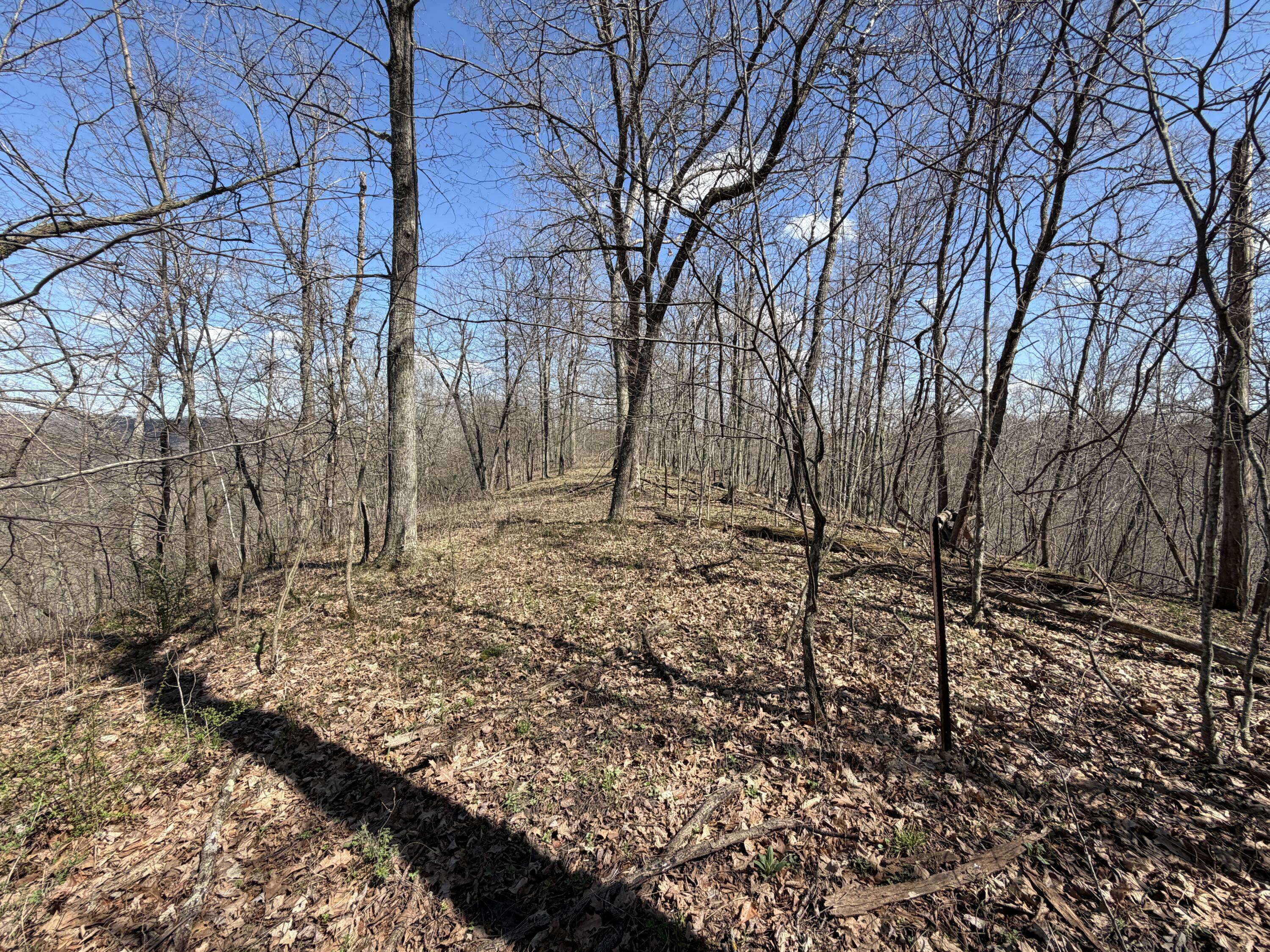 E11695 Chadwick Hollow Road Liberty, WI 54664 - Photo 32 of 56 Top of the Ridge