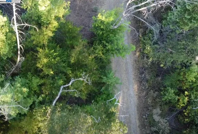 an aerial view of residential house with outdoor space and trees all around