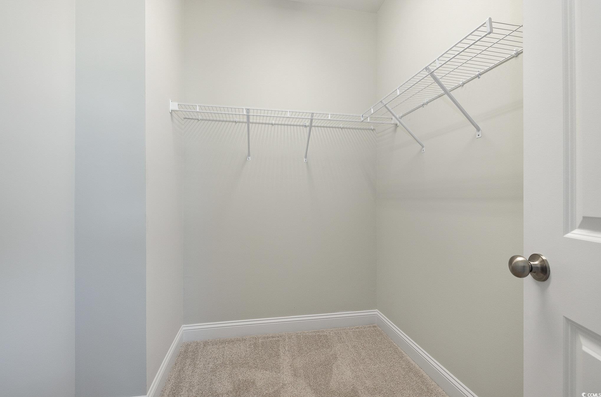 381 Log Cabin Road Loris, SC 29569 - Photo 23 of 35 Walk in closet featuring carpet flooring